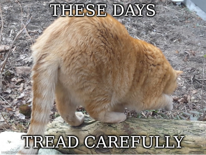 big ass | THESE DAYS; TREAD CAREFULLY | image tagged in big ass | made w/ Imgflip meme maker