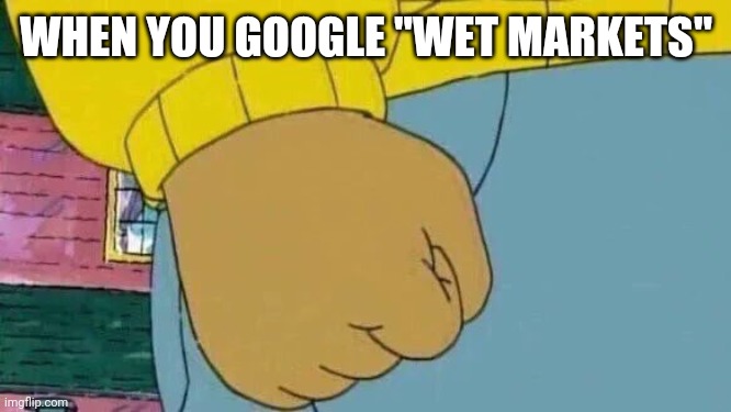 Corona... | WHEN YOU GOOGLE "WET MARKETS" | image tagged in memes,arthur fist | made w/ Imgflip meme maker