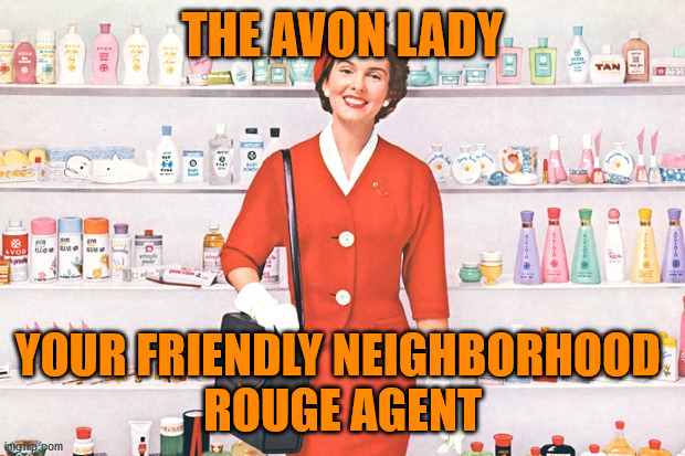 avonlady | THE AVON LADY YOUR FRIENDLY NEIGHBORHOOD 
ROUGE AGENT | image tagged in avonlady | made w/ Imgflip meme maker