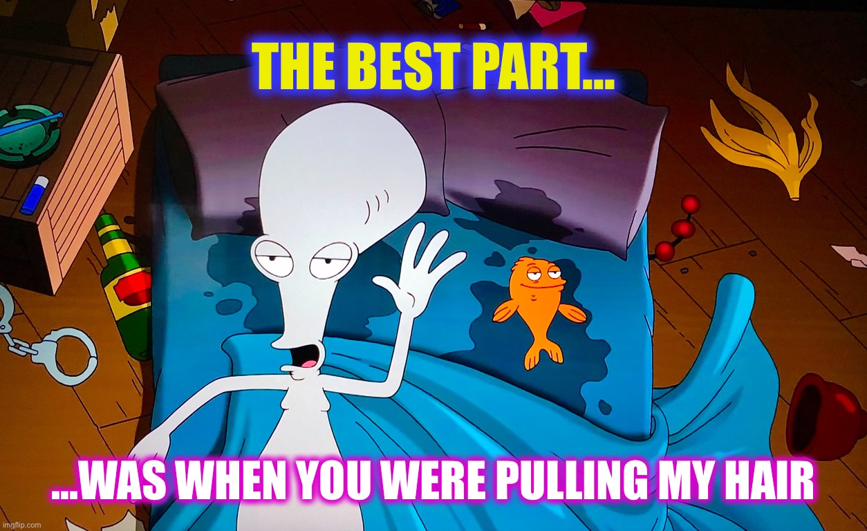 Some things are better left unsaid | THE BEST PART... ...WAS WHEN YOU WERE PULLING MY HAIR | image tagged in memes,american dad,roger,sweaty,cartoon | made w/ Imgflip meme maker