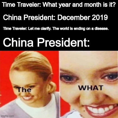 The What | Time Traveler: What year and month is it? China President: December 2019; Time Traveler: Let me clarify. The world is ending on a disease. China President: | image tagged in the what | made w/ Imgflip meme maker