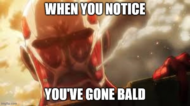 Attack on titan | WHEN YOU NOTICE; YOU'VE GONE BALD | image tagged in attack on titan | made w/ Imgflip meme maker