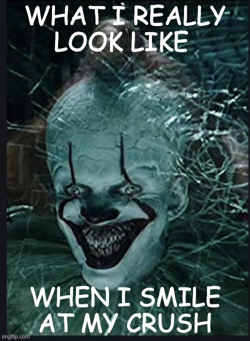 WHAT I REALLY LOOK LIKE; WHEN I SMILE AT MY CRUSH | image tagged in memes | made w/ Imgflip meme maker