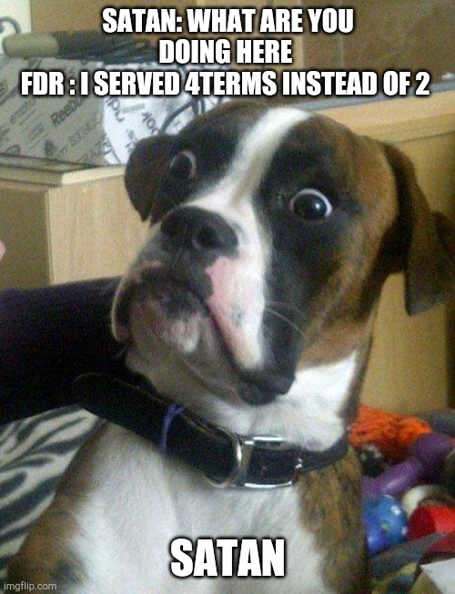 Blankie the Shocked Dog | SATAN: WHAT ARE YOU DOING HERE 
FDR : I SERVED 4TERMS INSTEAD OF 2; SATAN | image tagged in blankie the shocked dog | made w/ Imgflip meme maker