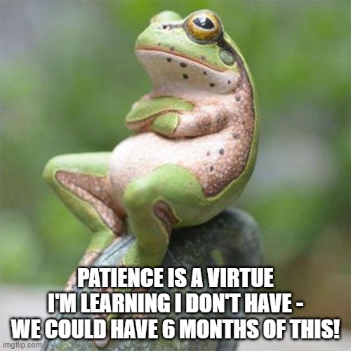 frog waiting | PATIENCE IS A VIRTUE I'M LEARNING I DON'T HAVE - WE COULD HAVE 6 MONTHS OF THIS! | image tagged in frog waiting | made w/ Imgflip meme maker