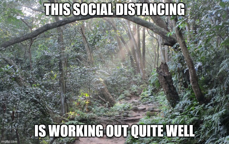 THIS SOCIAL DISTANCING; IS WORKING OUT QUITE WELL | image tagged in social distancing | made w/ Imgflip meme maker