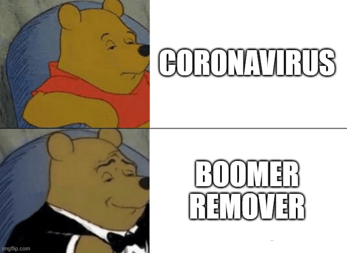 Tuxedo Winnie The Pooh Meme | CORONAVIRUS; BOOMER REMOVER | image tagged in memes,tuxedo winnie the pooh | made w/ Imgflip meme maker