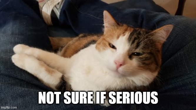 Not Sure If Serious Kitty | NOT SURE IF SERIOUS | image tagged in not sure if serious,kitty,cat | made w/ Imgflip meme maker