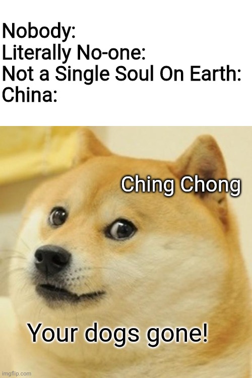 Ching Chong | Nobody:
Literally No-one:
Not a Single Soul On Earth:

China:; Ching Chong; Your dogs gone! | image tagged in memes,doge,funny,funny memes | made w/ Imgflip meme maker