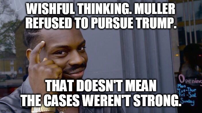 Roll Safe Think About It Meme | WISHFUL THINKING. MULLER REFUSED TO PURSUE TRUMP. THAT DOESN'T MEAN THE CASES WEREN'T STRONG. | image tagged in memes,roll safe think about it | made w/ Imgflip meme maker