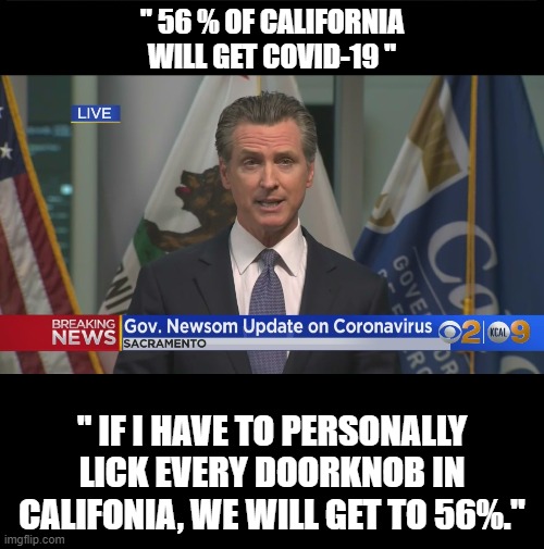Determined Newsom | " 56 % OF CALIFORNIA WILL GET COVID-19 "; " IF I HAVE TO PERSONALLY LICK EVERY DOORKNOB IN CALIFONIA, WE WILL GET TO 56%." | image tagged in covid-19,california,newsom | made w/ Imgflip meme maker