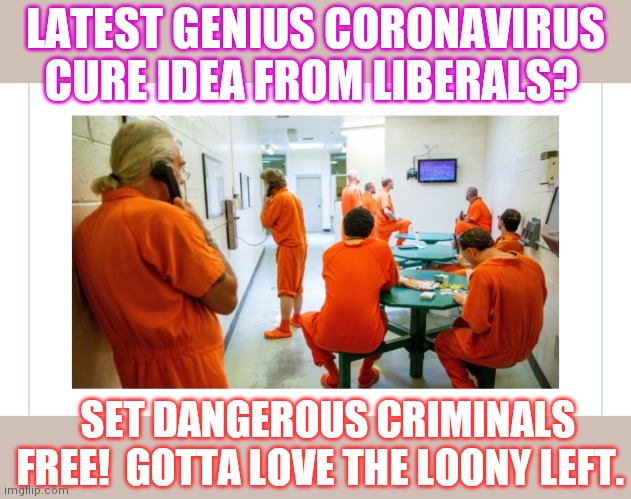 What could possibly go wrong? | LATEST GENIUS CORONAVIRUS CURE IDEA FROM LIBERALS? SET DANGEROUS CRIMINALS FREE!  GOTTA LOVE THE LOONY LEFT. | image tagged in roll safe think about it,years of academy training wasted,democrat boardroom suggestion,gullible,liberals problem,the more you k | made w/ Imgflip meme maker