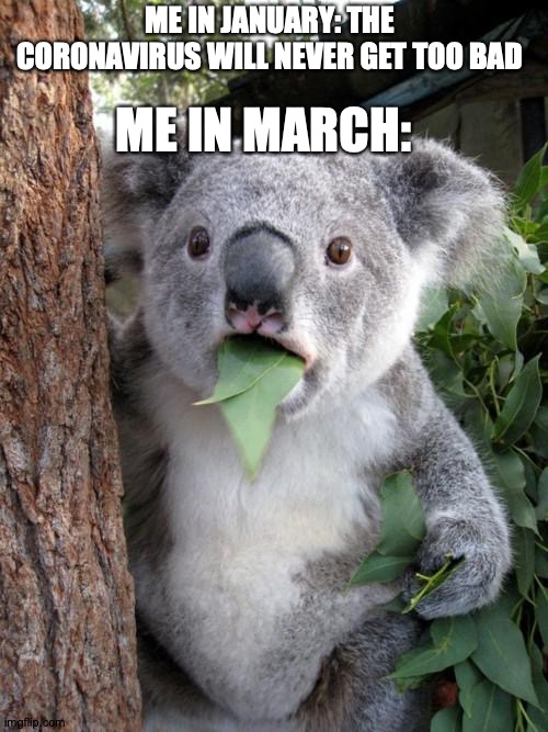 Surprised Koala Meme | ME IN JANUARY: THE CORONAVIRUS WILL NEVER GET TOO BAD; ME IN MARCH: | image tagged in memes,surprised koala | made w/ Imgflip meme maker