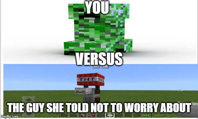 Hmst. | YOU; VERSUS; THE GUY SHE TOLD NOT TO WORRY ABOUT | image tagged in creeper vs tnt yeeter | made w/ Imgflip meme maker