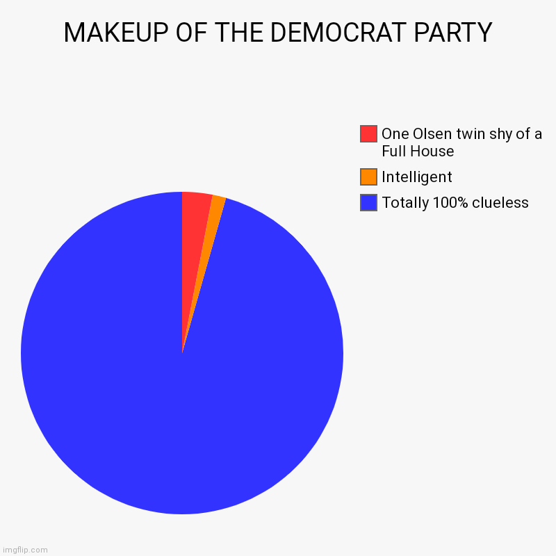 This is why we can't have nice things | MAKEUP OF THE DEMOCRAT PARTY  | Totally 100% clueless , Intelligent , One Olsen twin shy of a Full House | image tagged in charts,pie charts | made w/ Imgflip chart maker