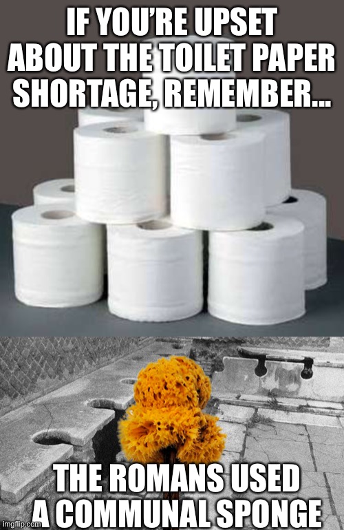 IF YOU’RE UPSET ABOUT THE TOILET PAPER SHORTAGE, REMEMBER... THE ROMANS USED A COMMUNAL SPONGE | image tagged in toilet paper,coronavirus | made w/ Imgflip meme maker