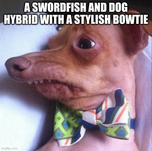 Tuna the dog (Phteven) | A SWORDFISH AND DOG HYBRID WITH A STYLISH BOWTIE | image tagged in tuna the dog phteven | made w/ Imgflip meme maker