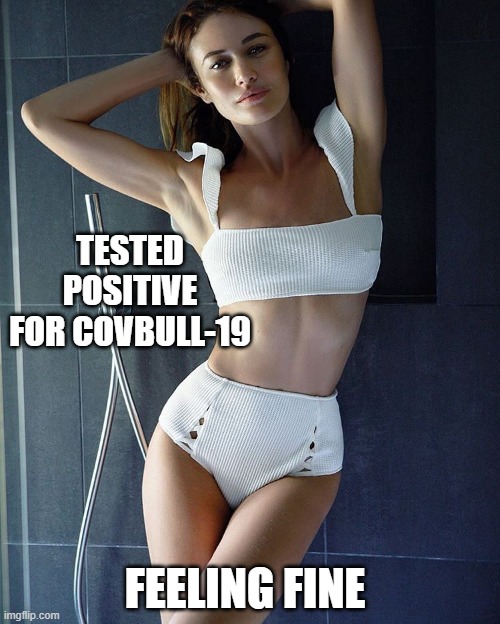 TESTED POSITIVE FOR COVBULL-19; FEELING FINE | made w/ Imgflip meme maker
