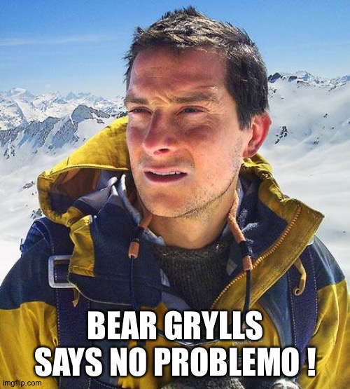 Bear Grylls Meme | BEAR GRYLLS SAYS NO PROBLEMO ! | image tagged in memes,bear grylls | made w/ Imgflip meme maker