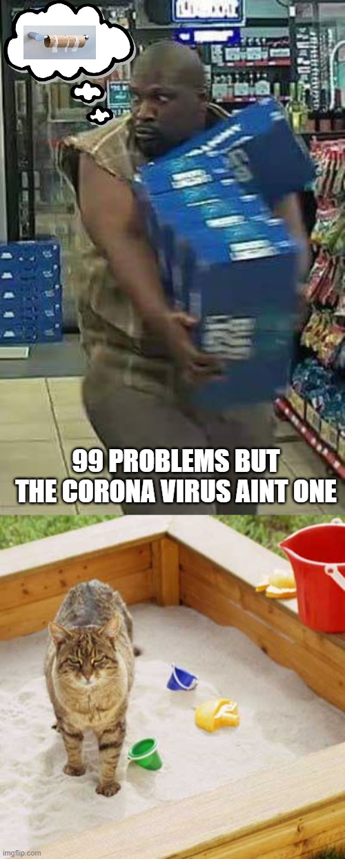 99 PROBLEMS BUT THE CORONA VIRUS AINT ONE | image tagged in cat sandbox,bud light,memes,coronavirus,toilet paper,funny | made w/ Imgflip meme maker