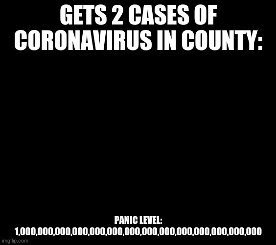 Panic | GETS 2 CASES OF CORONAVIRUS IN COUNTY:; PANIC LEVEL: 1,000,000,000,000,000,000,000,000,000,000,000,000,000,000 | image tagged in panic | made w/ Imgflip meme maker