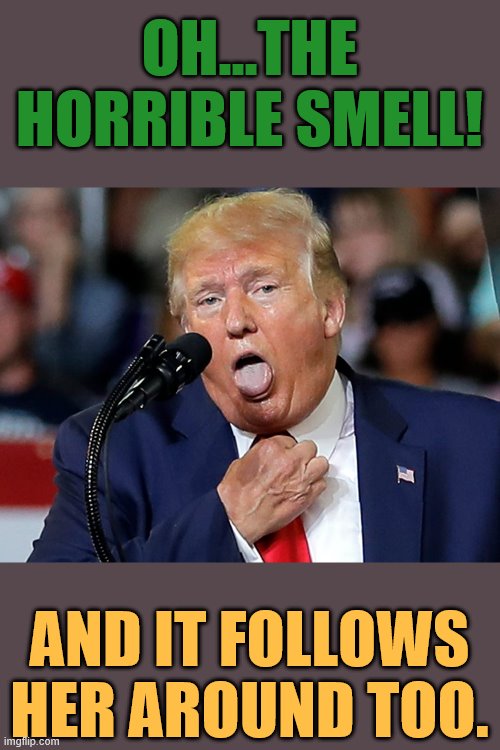 OH...THE HORRIBLE SMELL! AND IT FOLLOWS HER AROUND TOO. | made w/ Imgflip meme maker