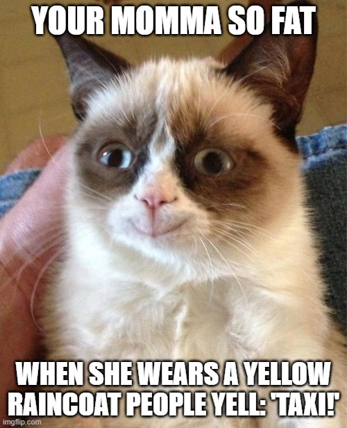 Grumpy Cat Happy Meme | YOUR MOMMA SO FAT; WHEN SHE WEARS A YELLOW RAINCOAT PEOPLE YELL: 'TAXI!' | image tagged in memes,grumpy cat happy,grumpy cat | made w/ Imgflip meme maker