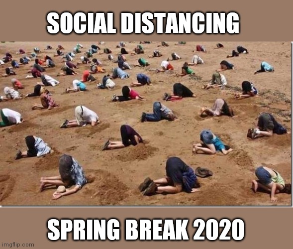 Head in sand | SOCIAL DISTANCING; SPRING BREAK 2020 | image tagged in head in sand | made w/ Imgflip meme maker