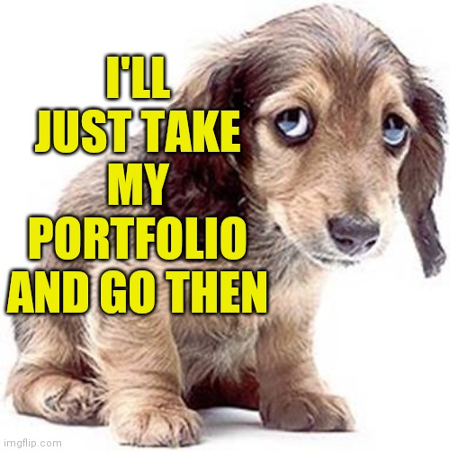 Sad puppy | I'LL JUST TAKE MY PORTFOLIO AND GO THEN | image tagged in sad puppy | made w/ Imgflip meme maker