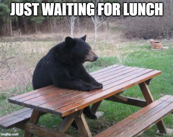 Bad Luck Bear | JUST WAITING FOR LUNCH | image tagged in memes,bad luck bear | made w/ Imgflip meme maker