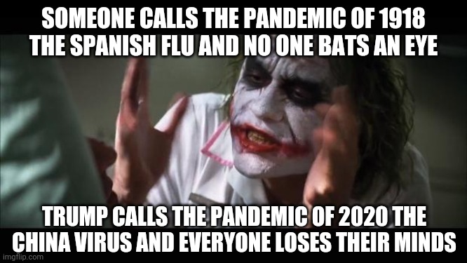 Even though health experts and historians agree the Spanish flu did not originate in Spain | SOMEONE CALLS THE PANDEMIC OF 1918 THE SPANISH FLU AND NO ONE BATS AN EYE; TRUMP CALLS THE PANDEMIC OF 2020 THE CHINA VIRUS AND EVERYONE LOSES THEIR MINDS | image tagged in and everybody loses their minds,donald trump,coronavirus | made w/ Imgflip meme maker