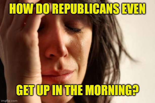 First World Problems Meme | HOW DO REPUBLICANS EVEN GET UP IN THE MORNING? | image tagged in memes,first world problems | made w/ Imgflip meme maker