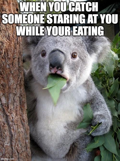 Surprised Koala | WHEN YOU CATCH 
SOMEONE STARING AT YOU
WHILE YOUR EATING | image tagged in memes,surprised koala | made w/ Imgflip meme maker