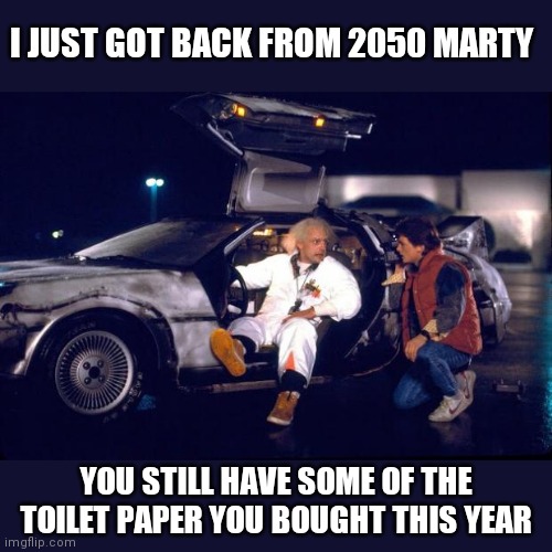 Back to the future | I JUST GOT BACK FROM 2050 MARTY; YOU STILL HAVE SOME OF THE TOILET PAPER YOU BOUGHT THIS YEAR | image tagged in back to the future | made w/ Imgflip meme maker