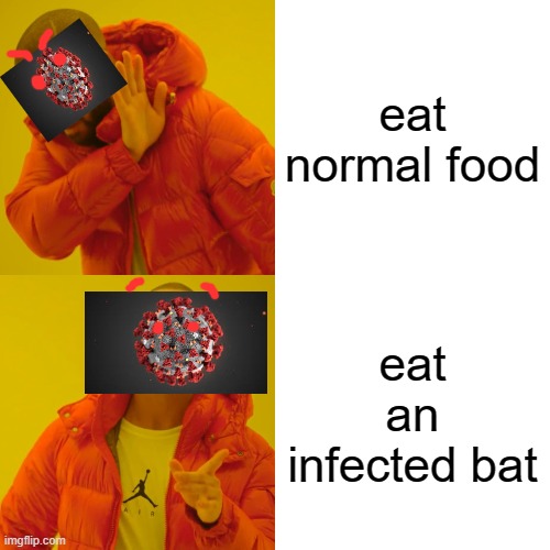 Covid 19 bling | eat normal food; eat an infected bat | image tagged in memes,drake hotline bling,covid19 | made w/ Imgflip meme maker