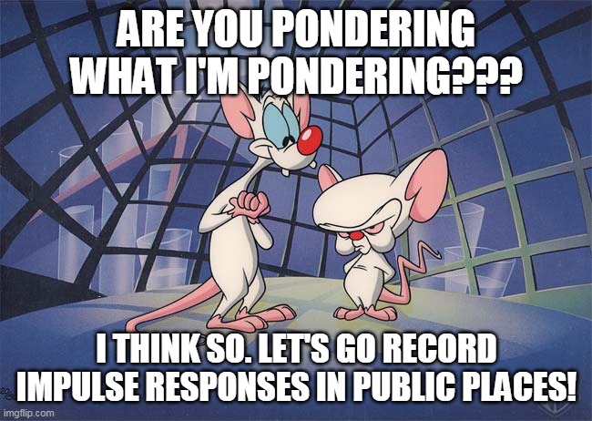 pinky and the brain | ARE YOU PONDERING WHAT I'M PONDERING??? I THINK SO. LET'S GO RECORD IMPULSE RESPONSES IN PUBLIC PLACES! | image tagged in pinky and the brain | made w/ Imgflip meme maker
