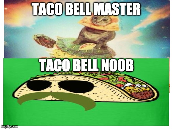 Who's best than you? | TACO BELL MASTER; TACO BELL NOOB | image tagged in taco bell,noob,cats,tacos are yummy | made w/ Imgflip meme maker