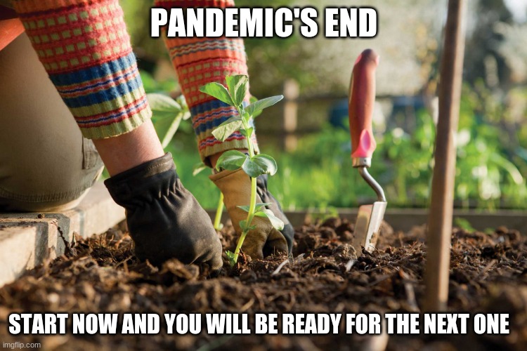 We are all preppers now | PANDEMIC'S END; START NOW AND YOU WILL BE READY FOR THE NEXT ONE | image tagged in gardening,prepping,victory garden,grow something,barter system,help each other | made w/ Imgflip meme maker