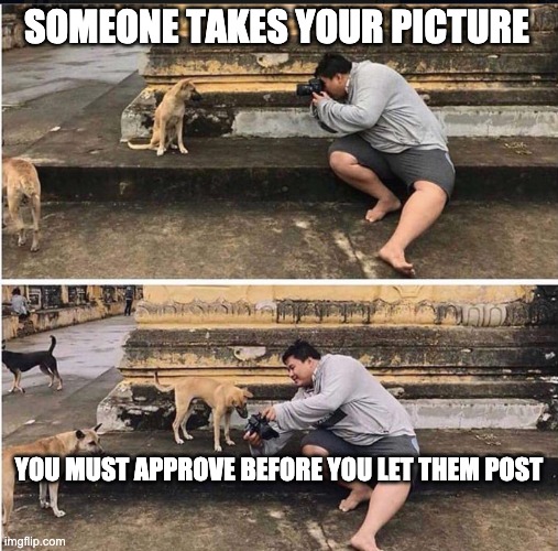 Must approve that picture | SOMEONE TAKES YOUR PICTURE; YOU MUST APPROVE BEFORE YOU LET THEM POST | image tagged in selfies,pictures,approval,posting | made w/ Imgflip meme maker