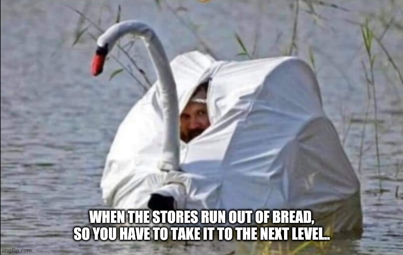 WHEN THE STORES RUN OUT OF BREAD, SO YOU HAVE TO TAKE IT TO THE NEXT LEVEL.. | image tagged in coronavirus | made w/ Imgflip meme maker