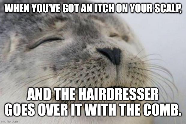 Happy Seal | WHEN YOU’VE GOT AN ITCH ON YOUR SCALP, AND THE HAIRDRESSER GOES OVER IT WITH THE COMB. | image tagged in happy seal | made w/ Imgflip meme maker
