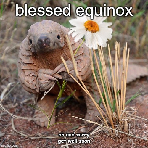 Blessed Equinox | blessed equinox; oh and sorry get well soon | image tagged in pagolin,equinox,get well soon | made w/ Imgflip meme maker