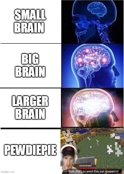 Expanding Brain Meme | SMALL BRAIN; BIG BRAIN; LARGER BRAIN; PEWDIEPIE | image tagged in memes,expanding brain | made w/ Imgflip meme maker