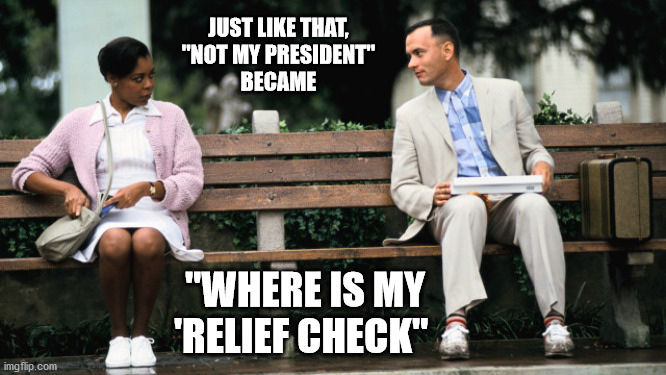 Forest Gump | JUST LIKE THAT, 
"NOT MY PRESIDENT" 
BECAME; "WHERE IS MY 'RELIEF CHECK" | image tagged in forest gump | made w/ Imgflip meme maker