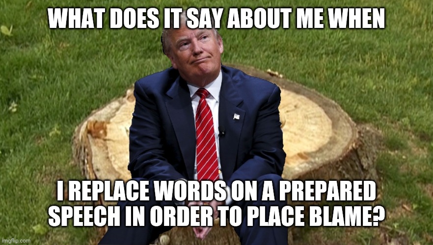 Trump on a stump | WHAT DOES IT SAY ABOUT ME WHEN; I REPLACE WORDS ON A PREPARED SPEECH IN ORDER TO PLACE BLAME? | image tagged in trump on a stump | made w/ Imgflip meme maker