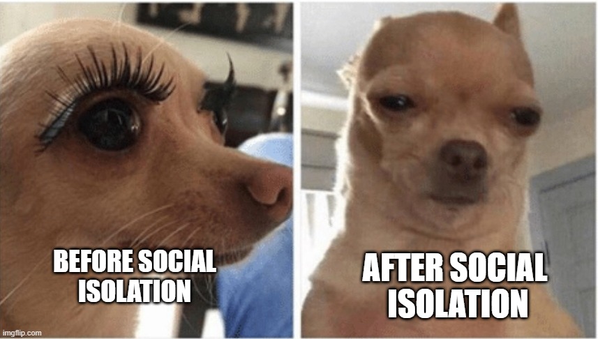 social isolation | AFTER SOCIAL
 ISOLATION; BEFORE SOCIAL 
ISOLATION | image tagged in covid-19,social isolation,high maintenance,eyelashes | made w/ Imgflip meme maker