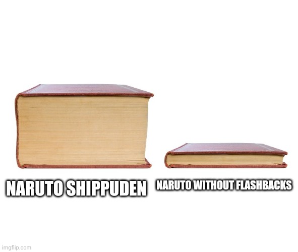 thick book thin book | NARUTO WITHOUT FLASHBACKS; NARUTO SHIPPUDEN | image tagged in thick book thin book | made w/ Imgflip meme maker