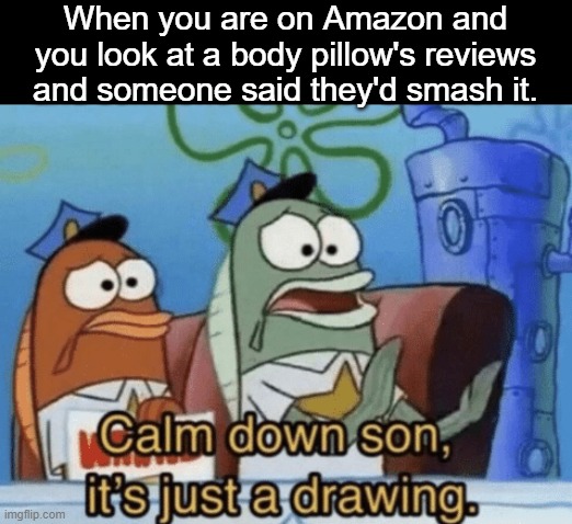 When you are on Amazon and you look at a body pillow's reviews and someone said they'd smash it. | made w/ Imgflip meme maker