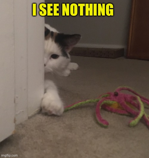 I SEE NOTHING | made w/ Imgflip meme maker
