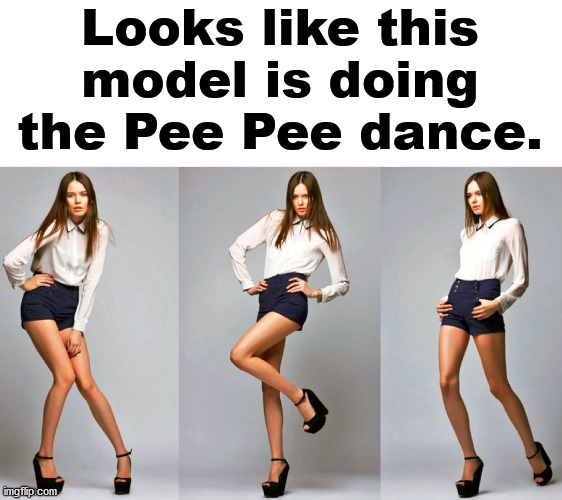 I seen my wife do this at concerts. | Looks like this model is doing the Pee Pee dance. | image tagged in pee,potty,bathroom | made w/ Imgflip meme maker